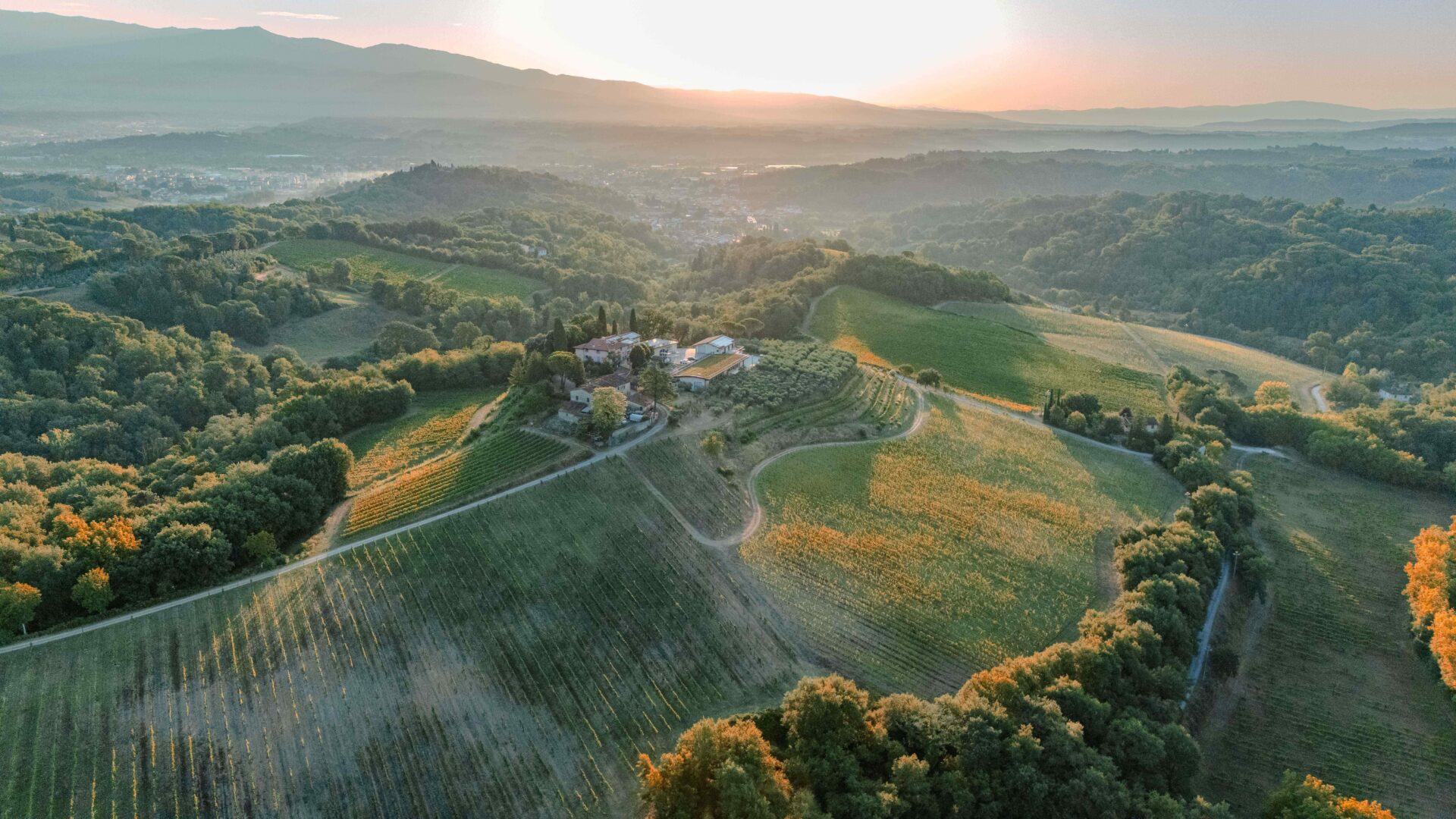 ワイナリー写真